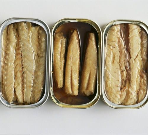 Canned Sardine in Vegetable Oil.jpg