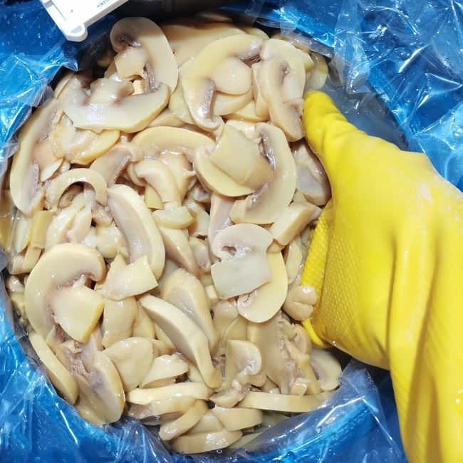 China Preserved mushroom in drum 